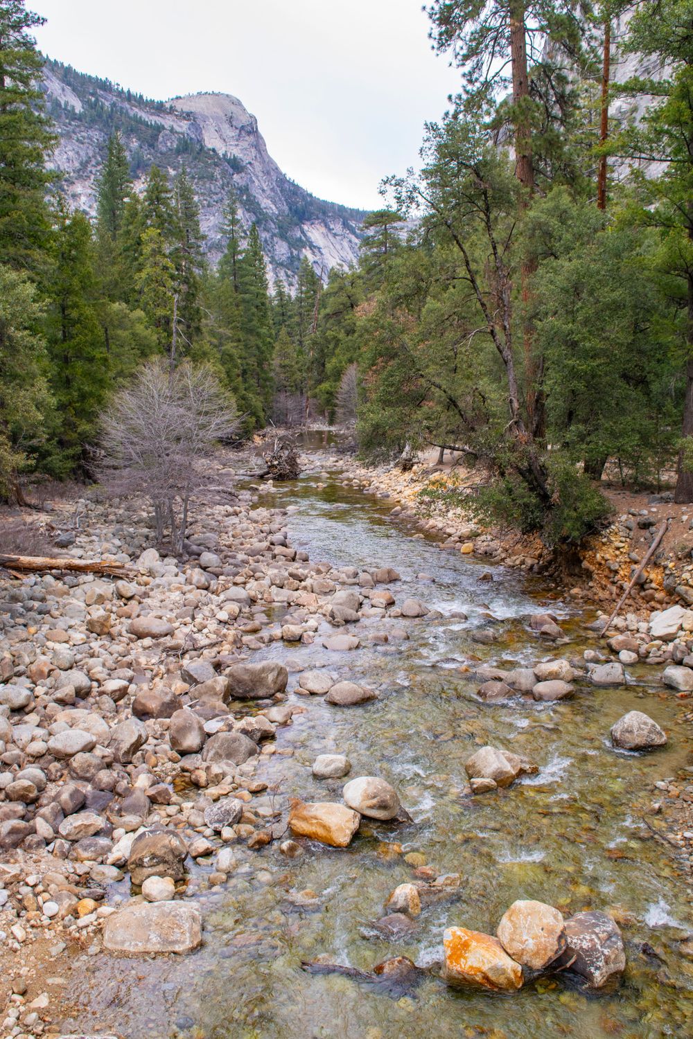 A rocky mountain stream winds through a forested valley with granite cliffs rising in the background.