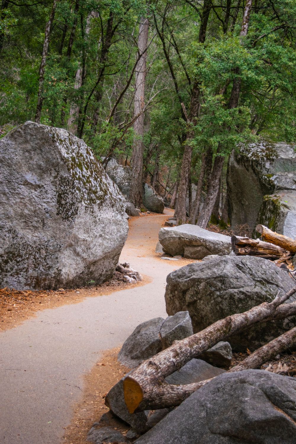 A winding paved trail meanders between large boulders and trees in a forest setting.