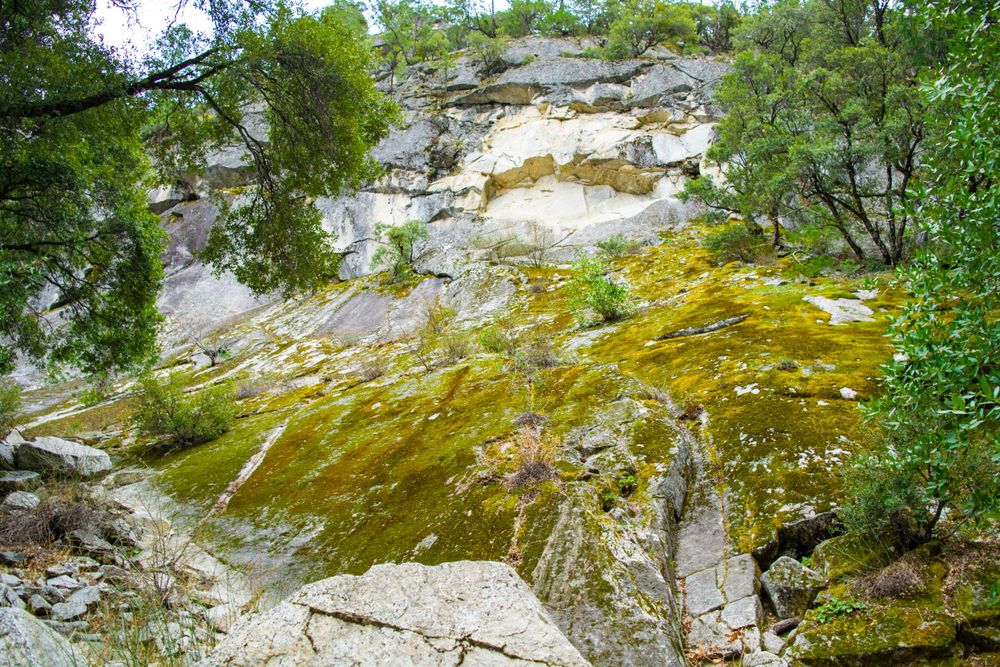 Moss-covered granite rock face displays vibrant yellow and green colors in natural lighting.