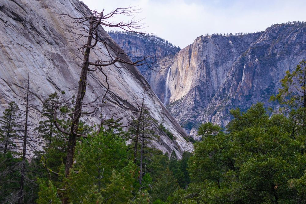 Majestic granite cliffs of Yosemite Valley rise above the treeline against a blue sky.