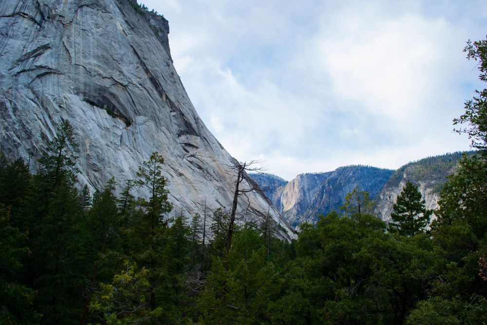 Towering granite walls of El Capitan rise above the forest in Yosemite National Park.