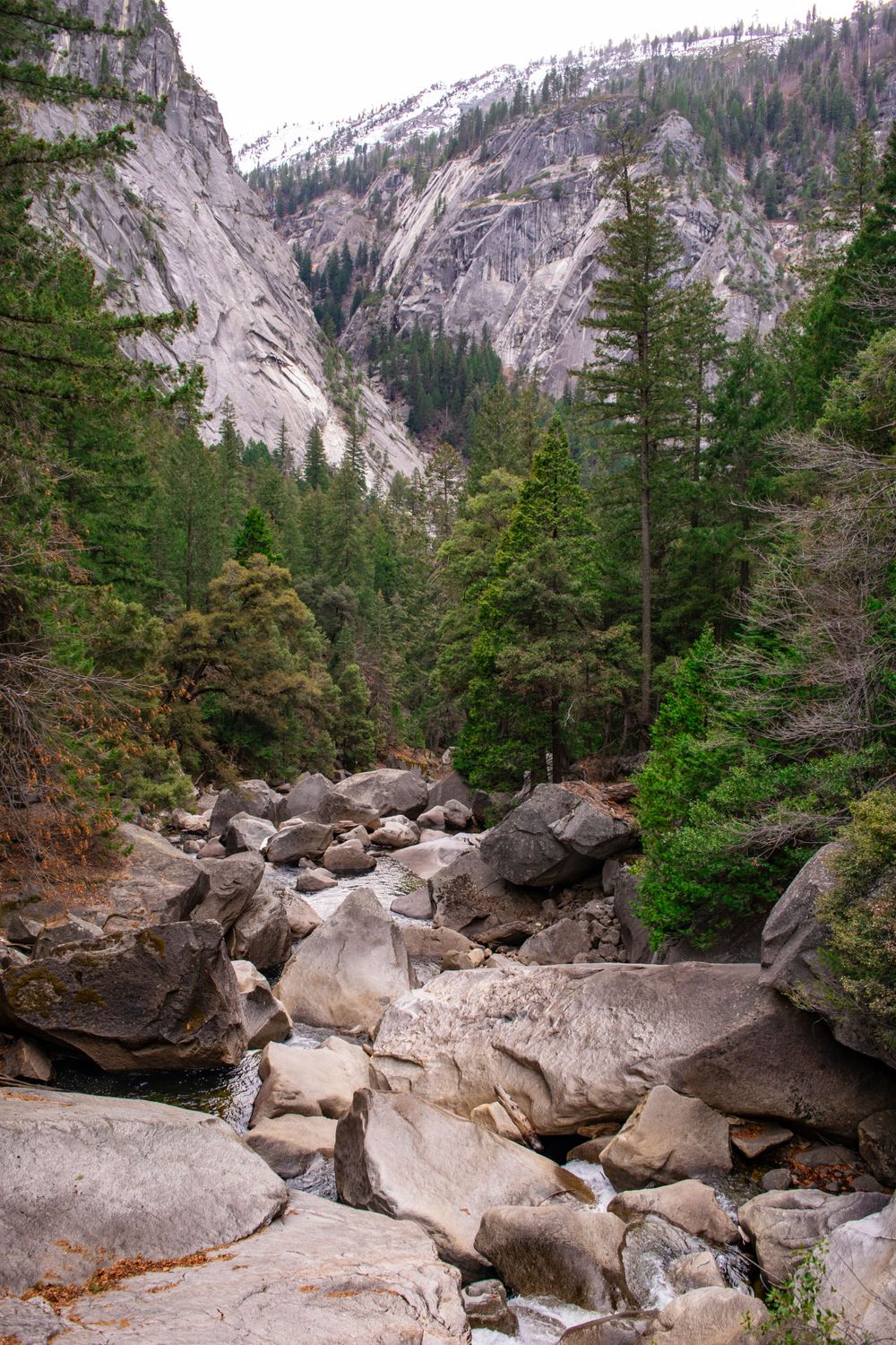Rocky canyon with massive granite walls and evergreen forest in Yosemite National Park.