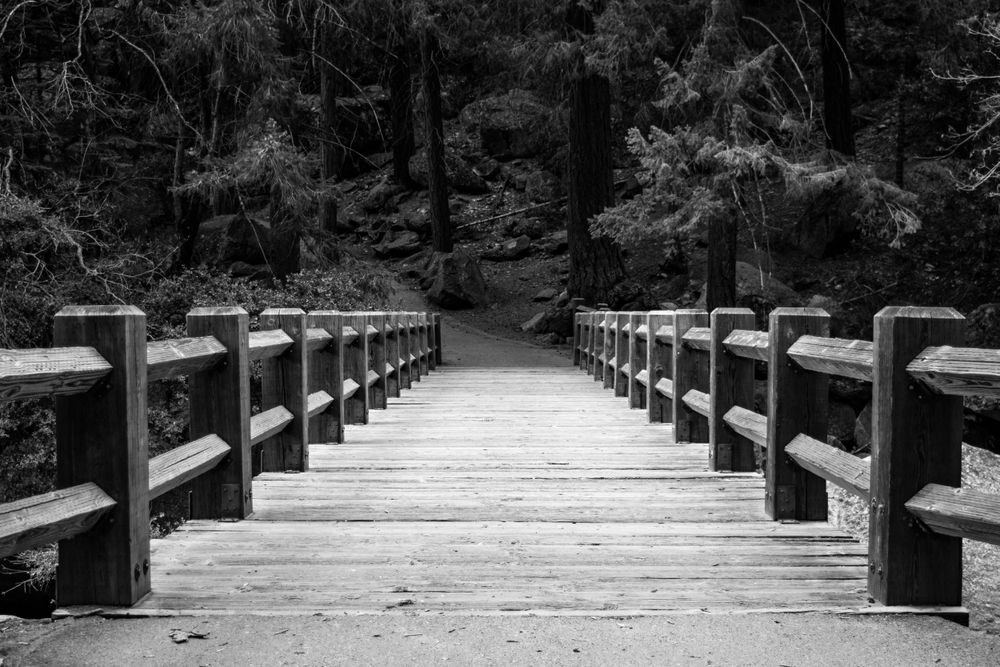 Black and white photograph of wooden footbridge through forest with symmetrical railings.