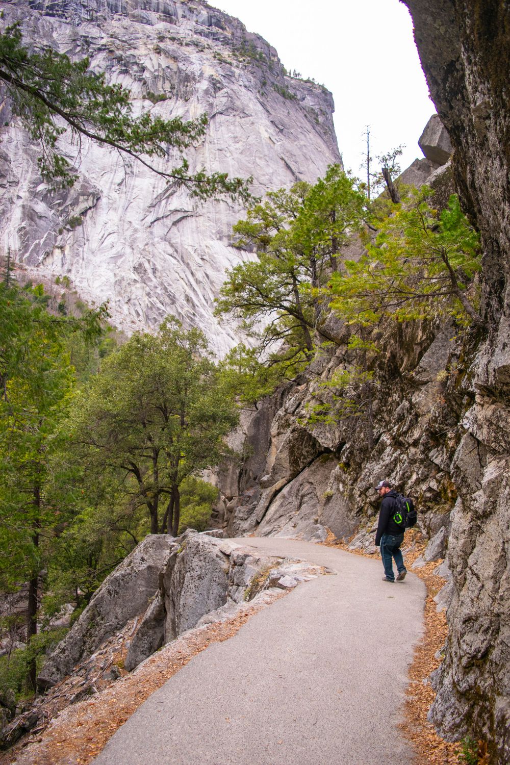 Hiker walks along paved mountain trail next to steep granite cliff face in Yosemite.