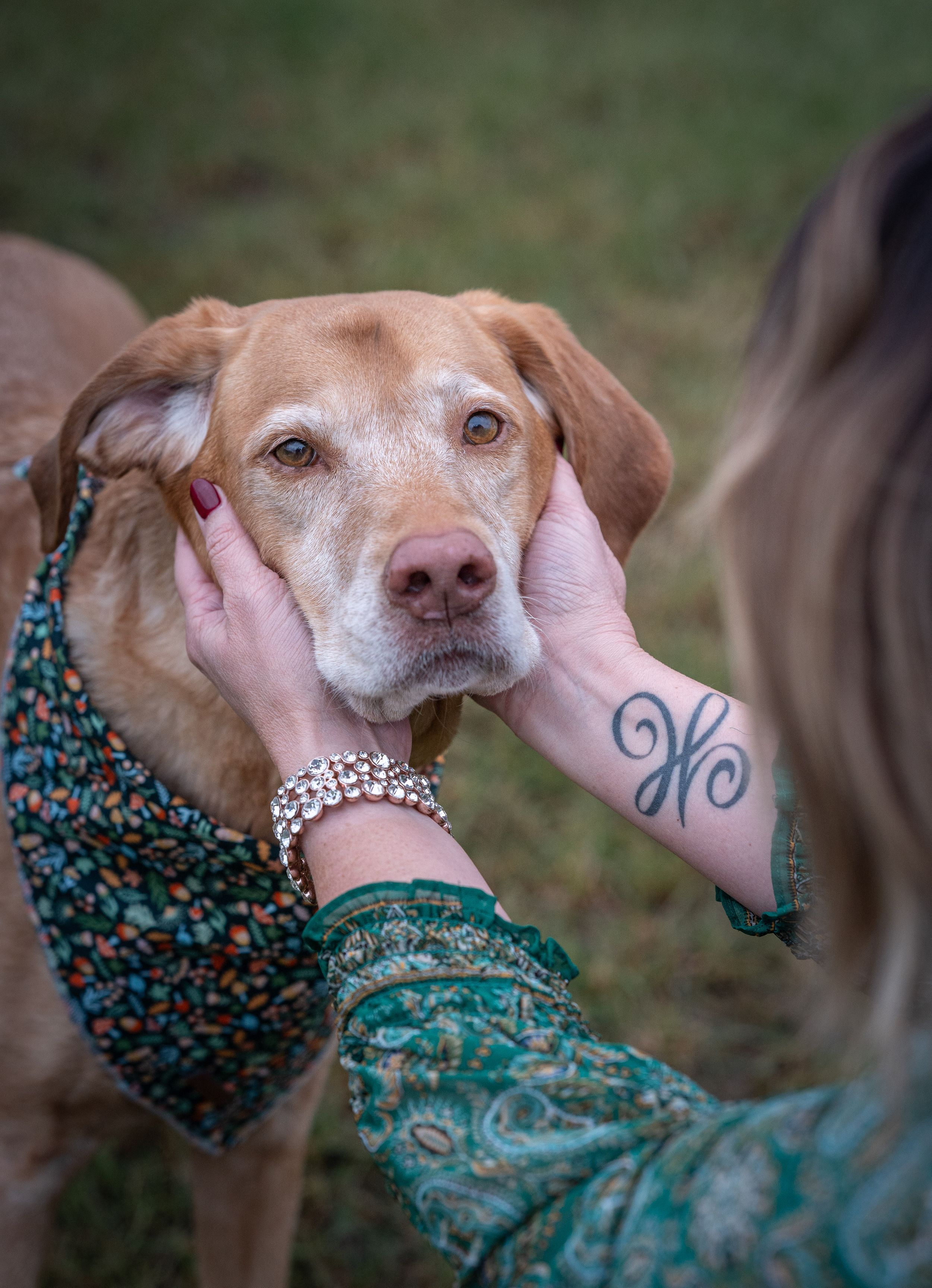 A woman with a tattoo and bracelet gently holds the face of a sweet brown dog wearing a floral bandana outdoors.