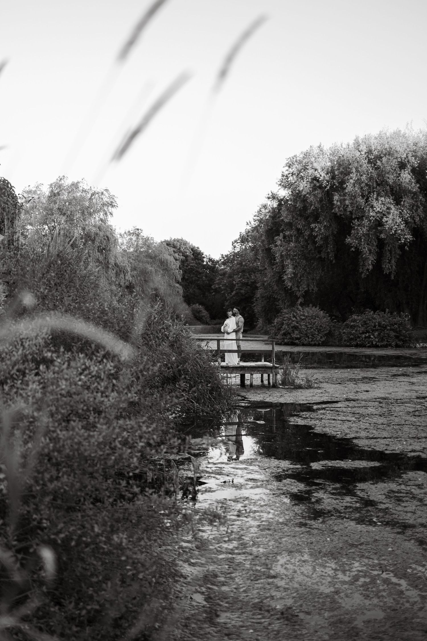 A black and white photo of a dock extending over a lily-covered pond.