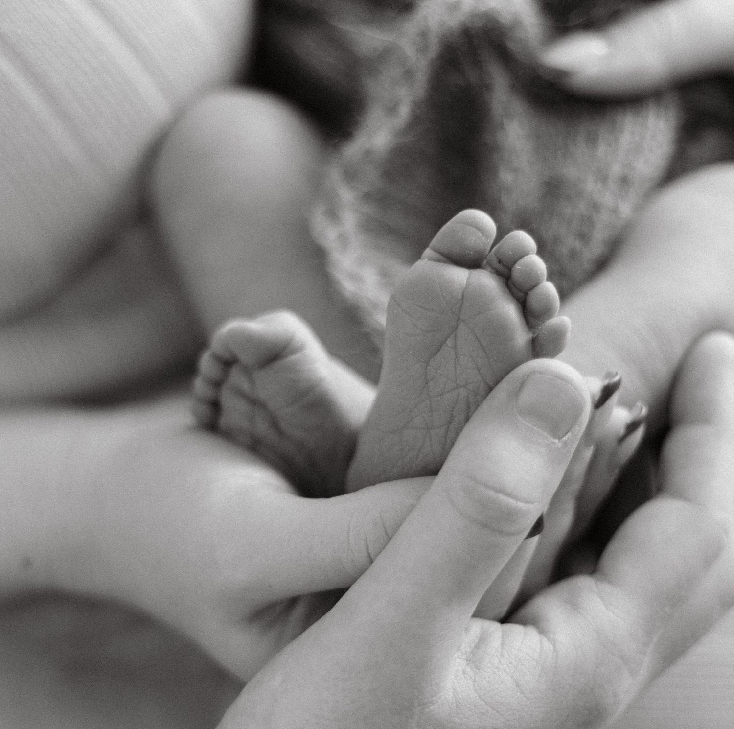 Close-up detail shot of tiny newborn fingers during professional photo session.