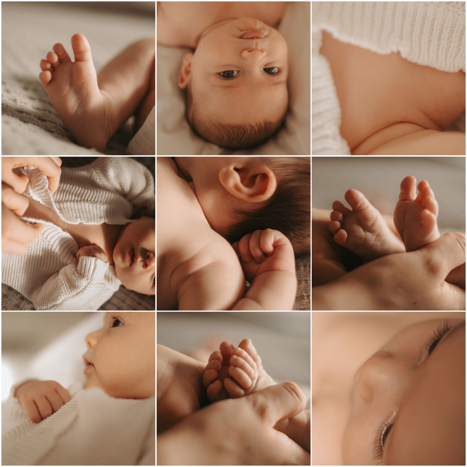 Collection of intimate newborn photography details showing tiny features and gentle moments.