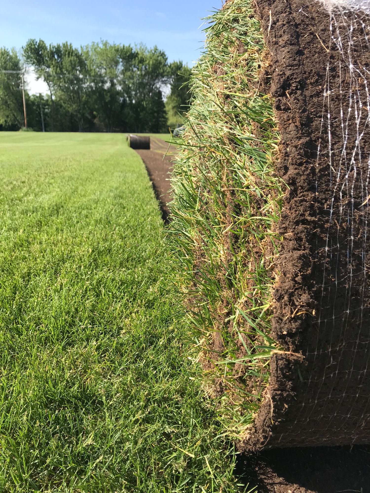 Metro Turf Sod Farm llc Big Sod Roll after being cut ready to be taken to job site for installation
