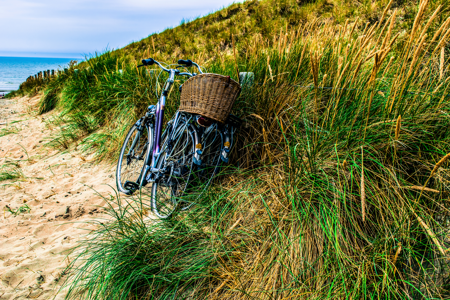 Blue bicycle with woven basket resting against beach grass on sandy shore.