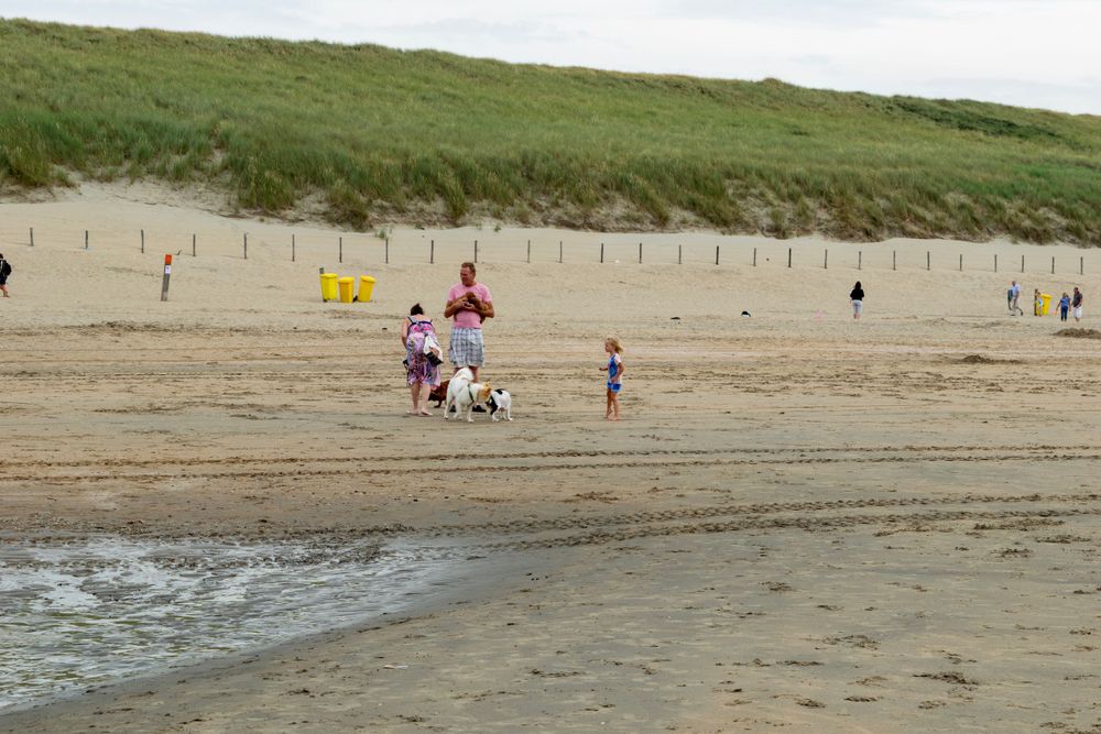 Beach scene with sand dunes and scattered beachgoers on a cloudy day.