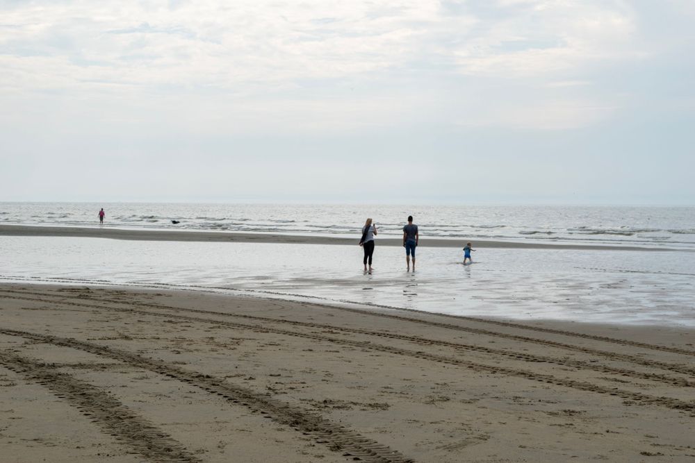 Silhouettes walking along a misty beach shoreline.