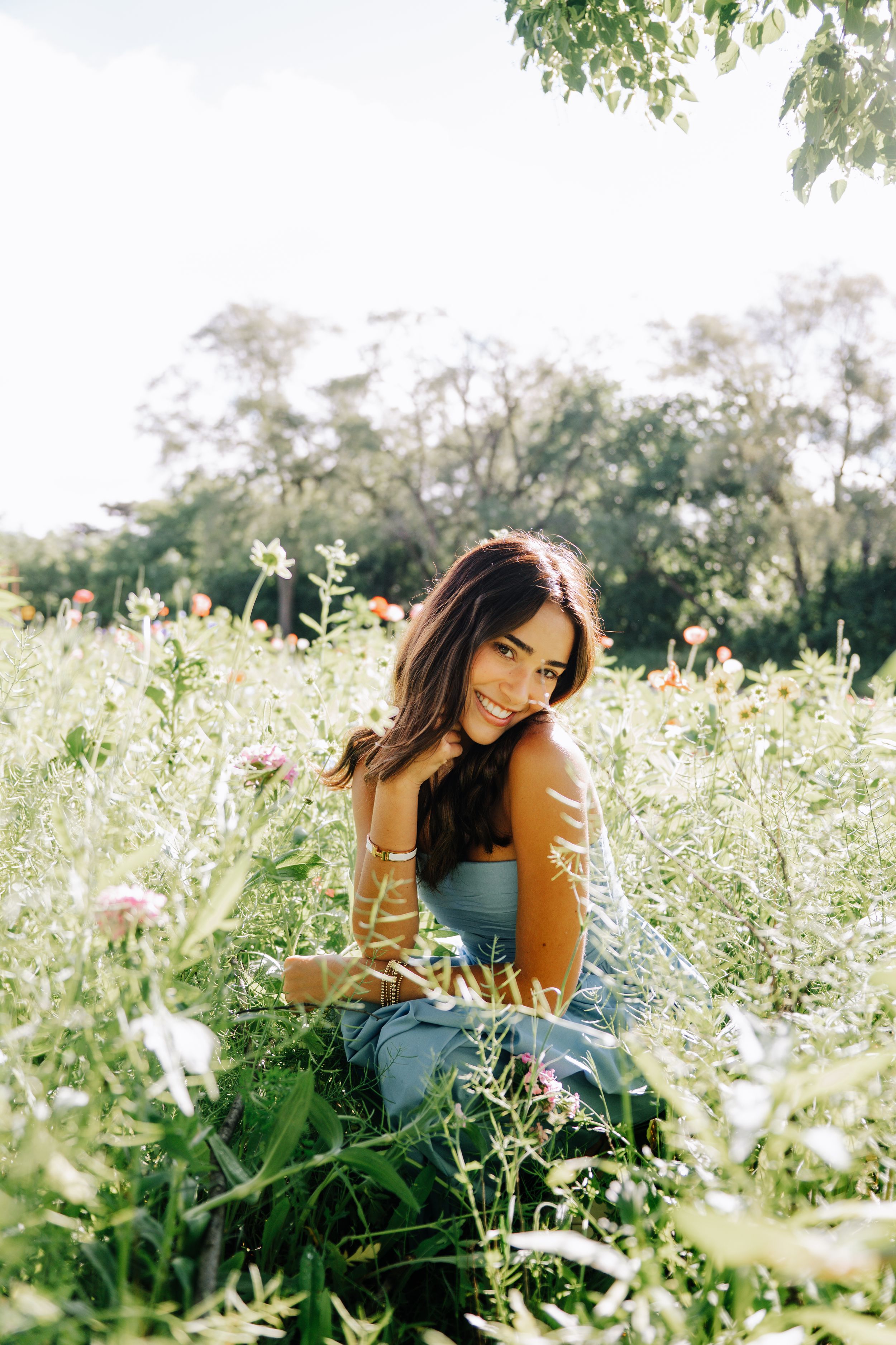 Wildflower meadow scene with white blooms and tall grass in natural sunlight.
