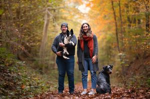 A dog and its companions walk along an autumn forest path with golden foliage overhead.