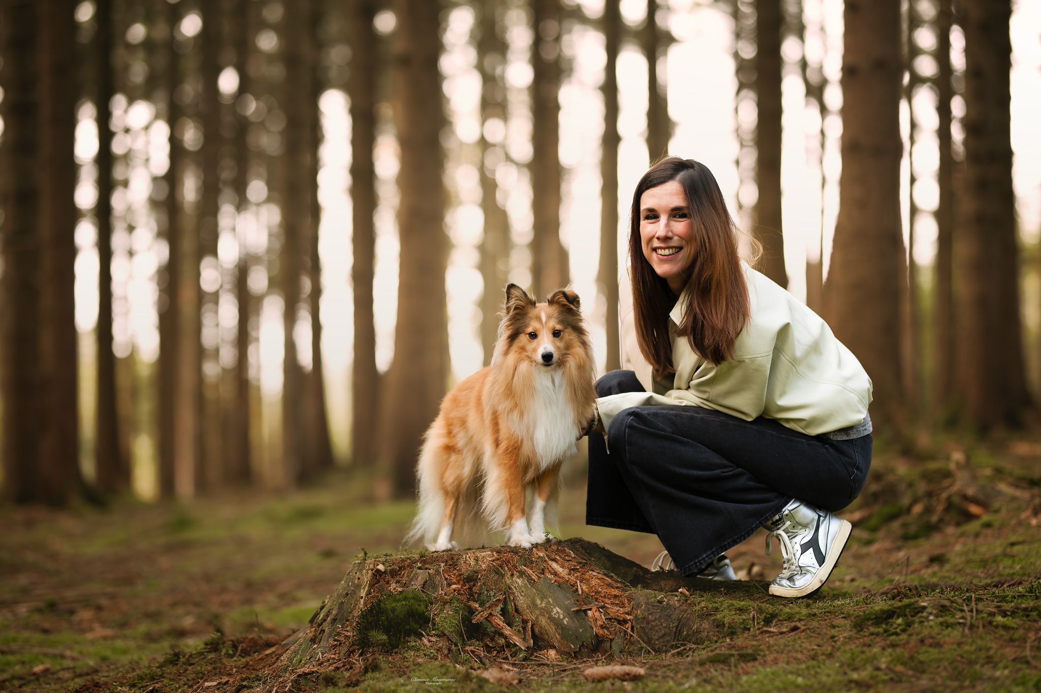 A Rough Collie dog and companion pose together on a tree stump in a misty forest setting.