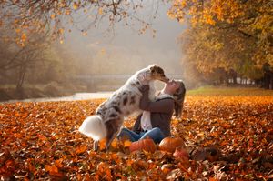 Dog and owner sharing a playful moment among fallen autumn leaves in the park.