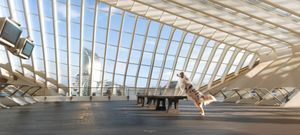 Modern architectural interior with white ribbed ceiling and glass windows creating geometric patterns and lines.