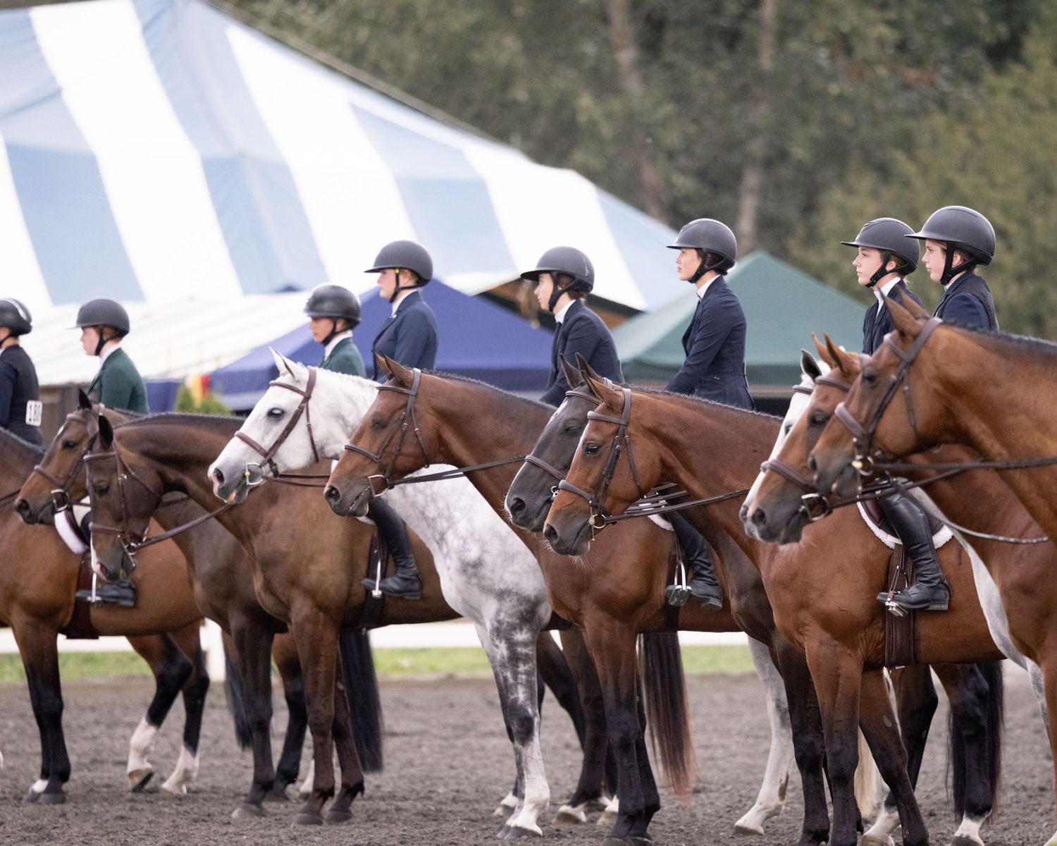 Hunter class lineup after short stirrup flat class during a horse show in Wilsonville, Oregon Copyright Amanda Barr Photography
