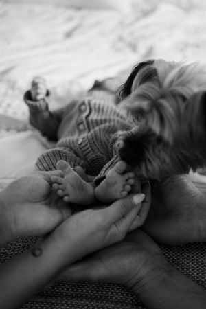 Close-up black and white image of tiny baby feet being gently held.