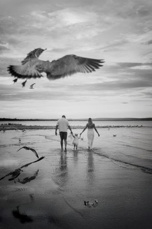 Silhouettes walking on beach with seagulls flying overhead in dramatic black and white.