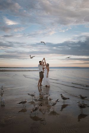 Seagulls gather around people on beach during golden hour.