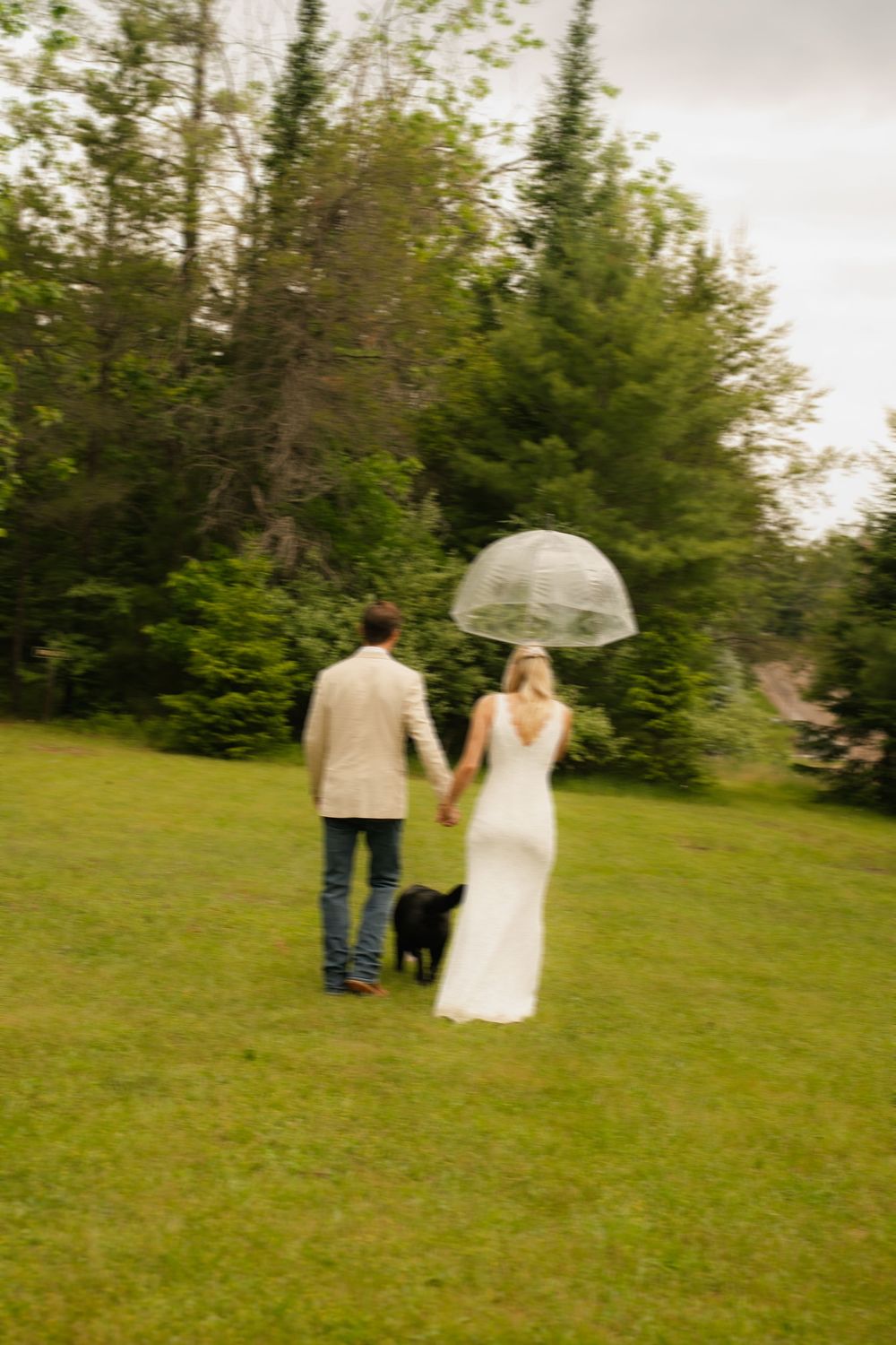 Bride and groom walking hand-in-hand with a black dog under a clear umbrella on a lush green lawn surrounded by trees.