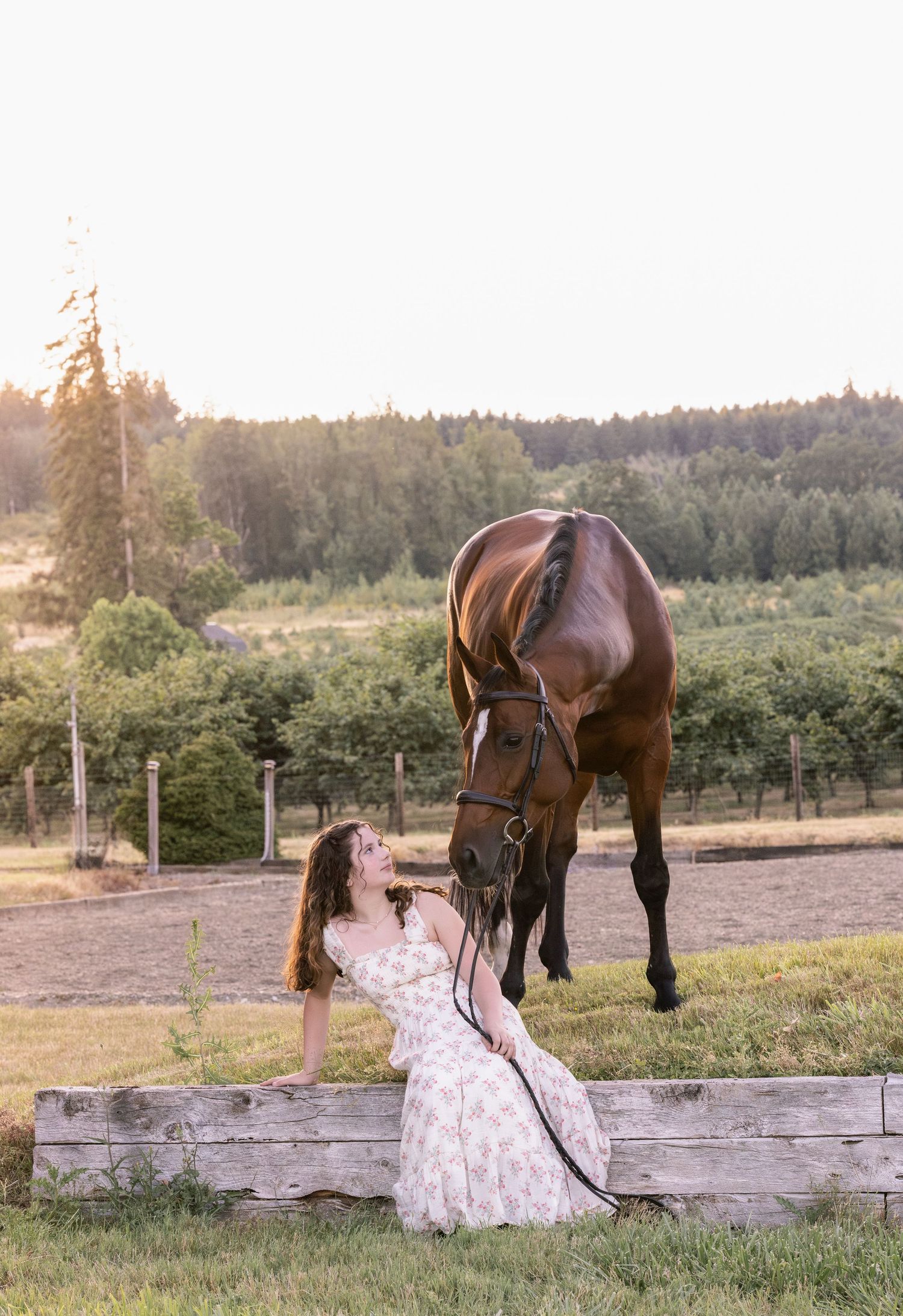 Horse and rider or senior pictures taken during sunny summer evening photo session in Oregon Copyright Amanda Barr Photography