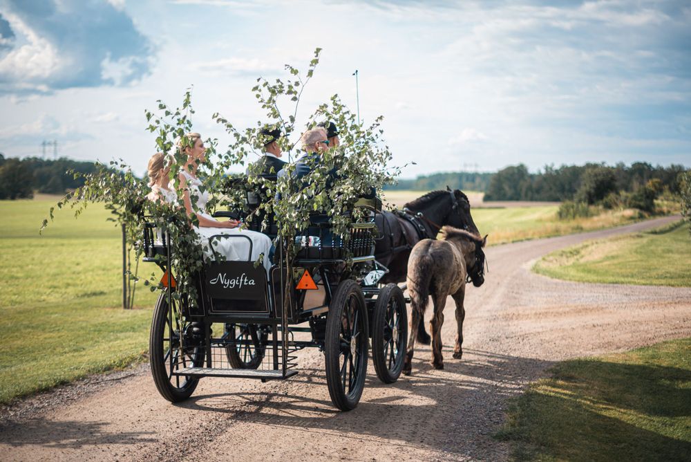 Wedding photo