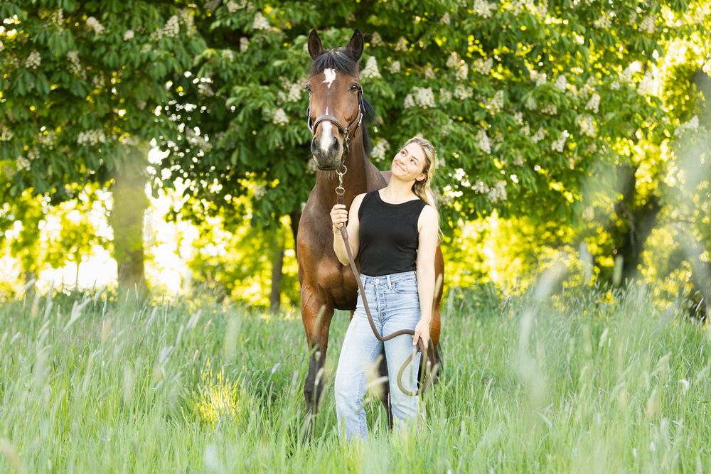 Cheval bai, nature, Lisa Gualtieri