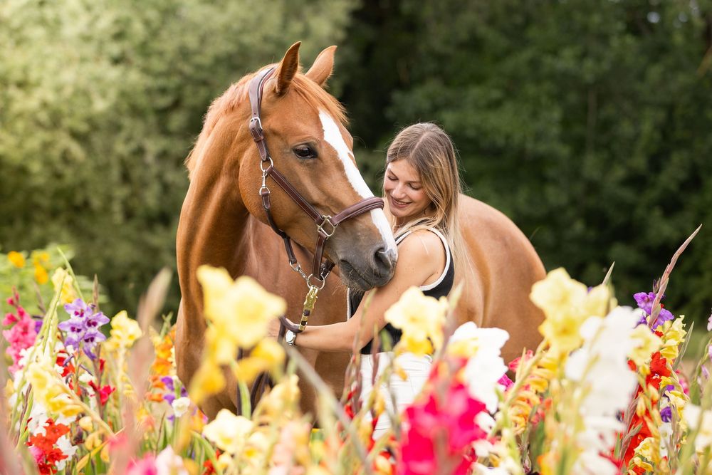 Cheval alezan, nature