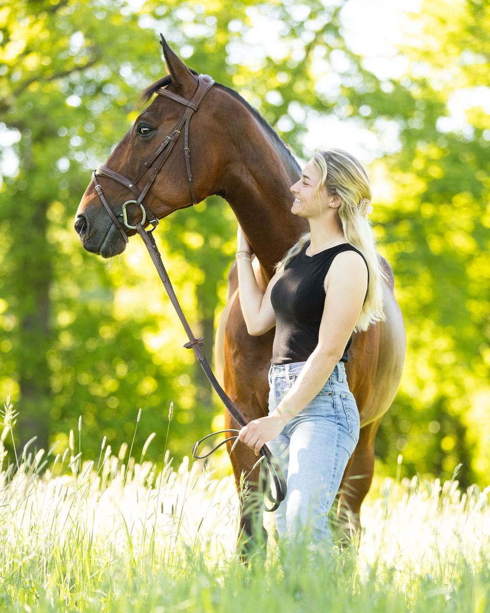 Cheval bai, nature, Lisa Gualtieri