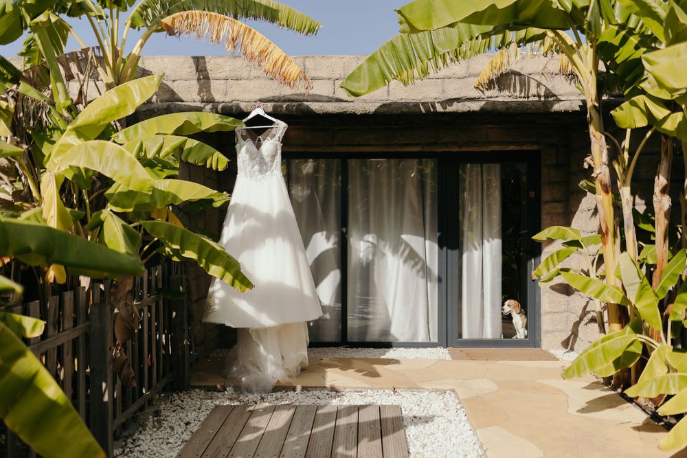 White wedding dress hanging outside a tropical cottage surrounded by banana trees with a dog nearby.