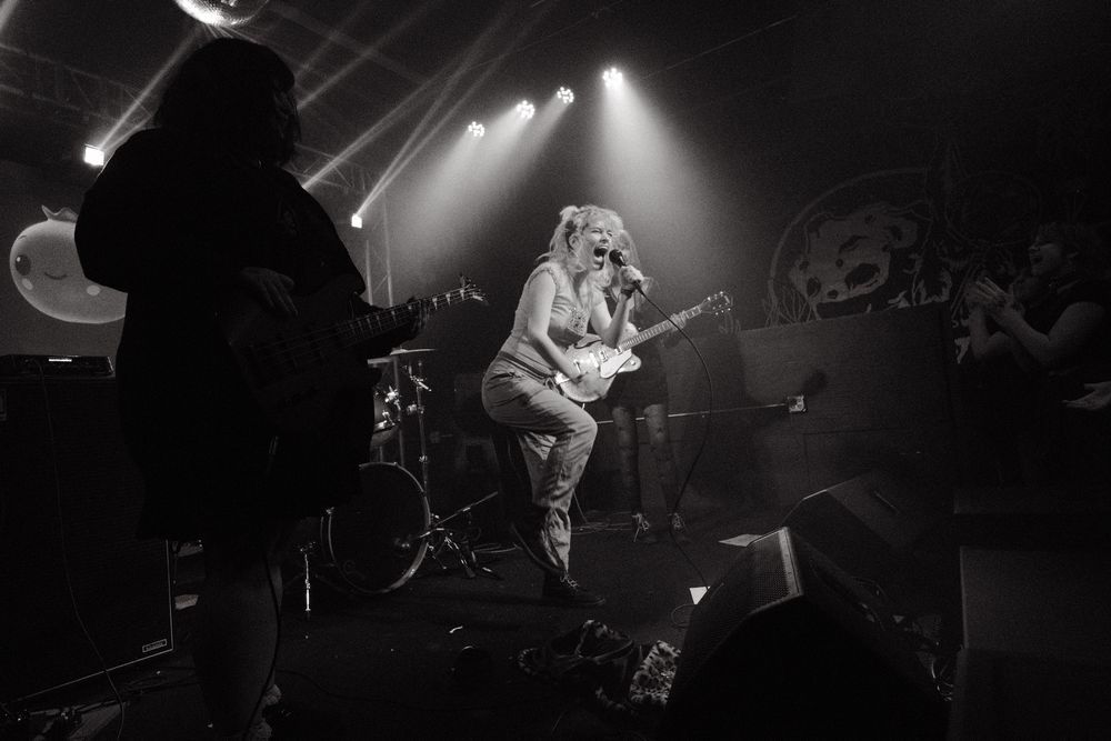 Springfield Music Photography STEPHEN EVANS PHOTOGRAPHY