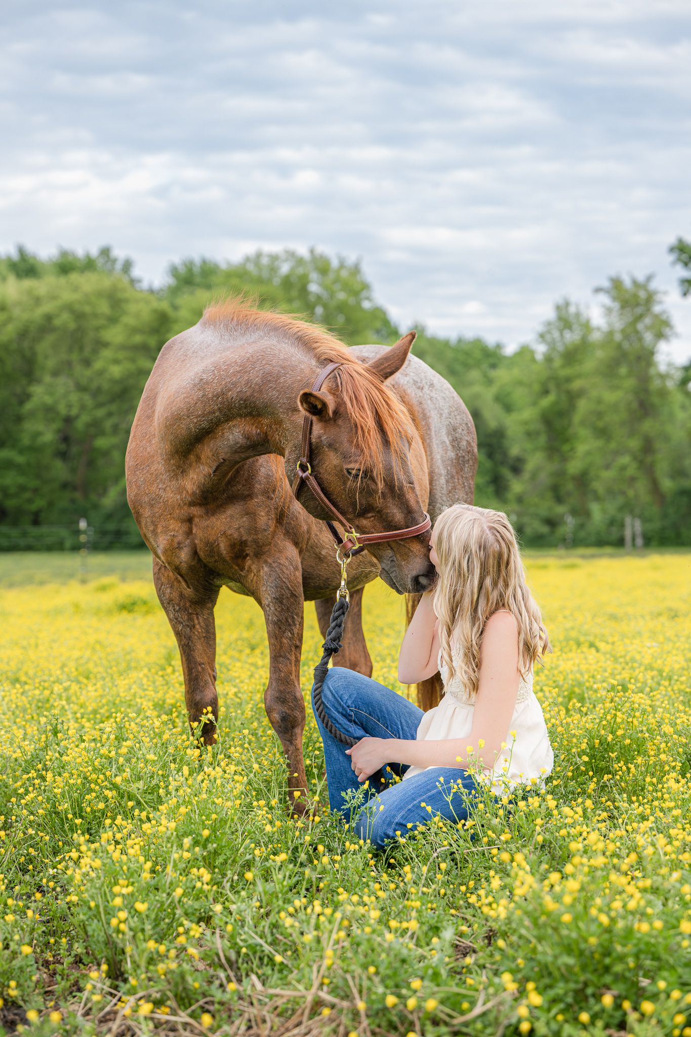 Flower field | Horse | Equine | Neenah | Wisconsin
