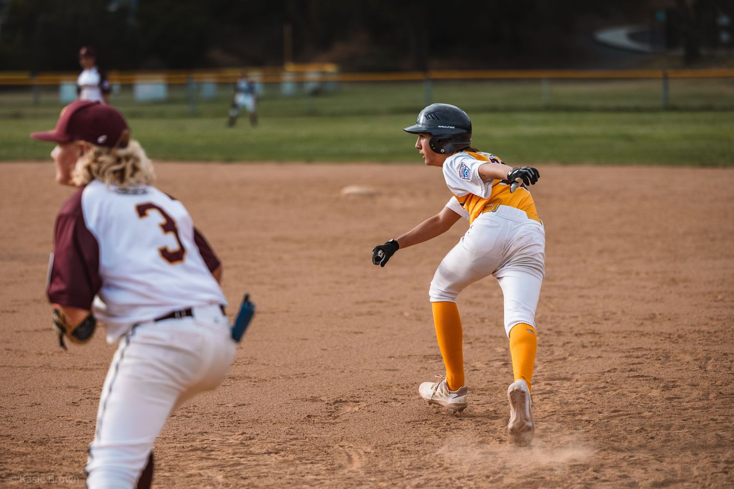 Little League Baseball Photography