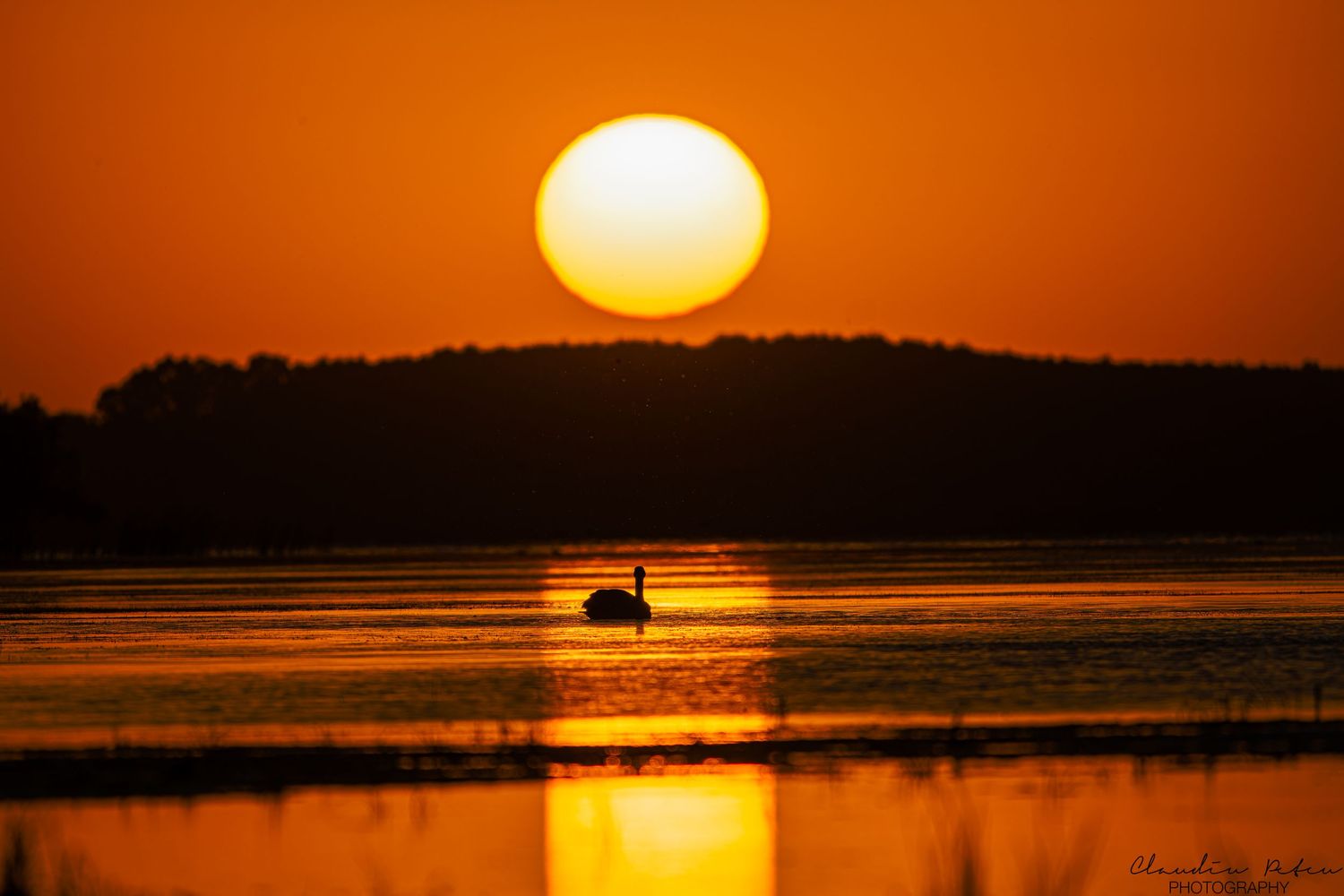 Large orange sun setting over a lake with a silhouetted waterfowl in the foreground.