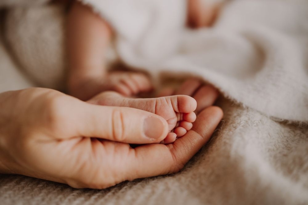 Tiny newborn feet cradled gently in a parent’s hands during in -home newborn session. Westport NZ