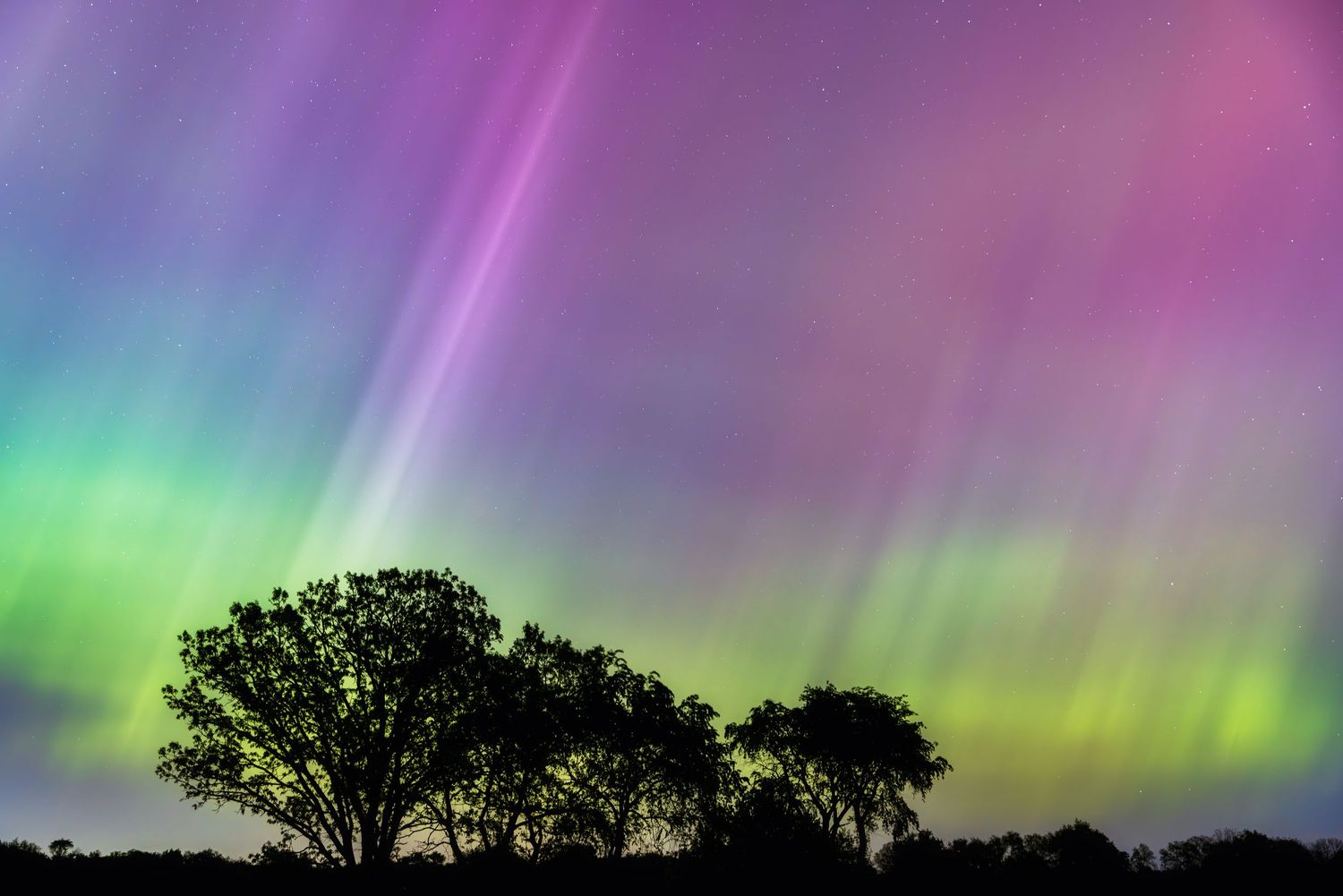 Northern Lights over Wisconsin field with trees print for sale