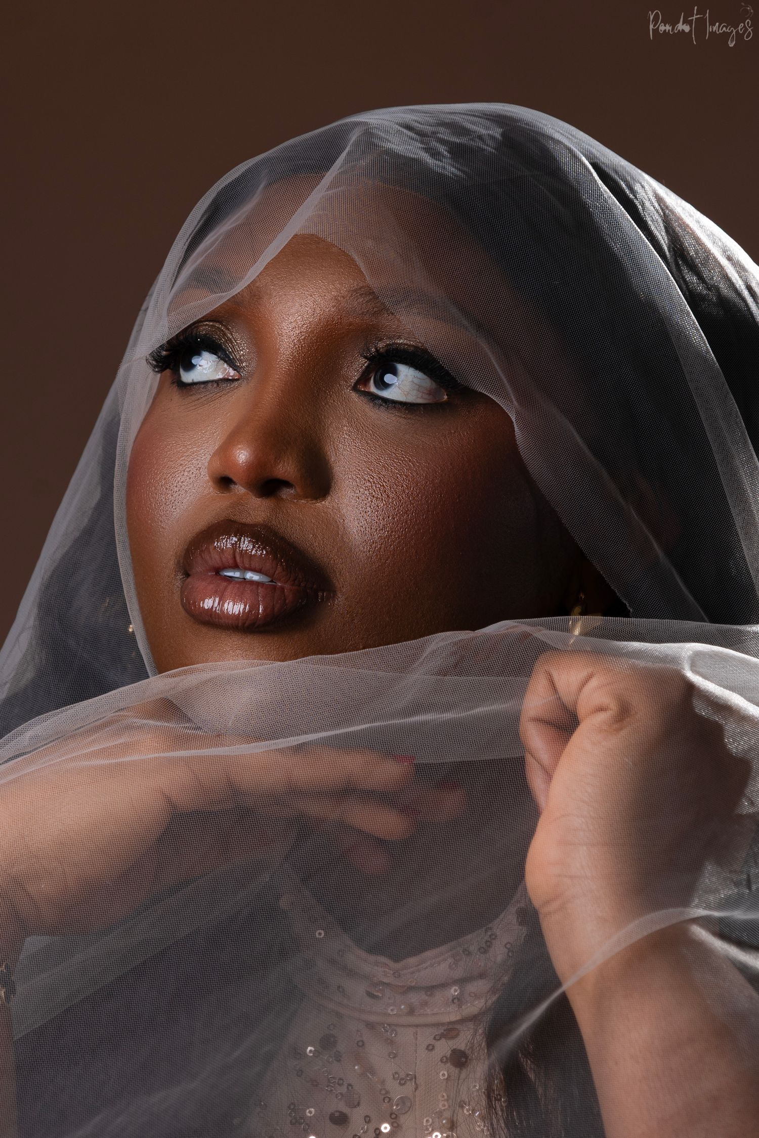 Artistic portrait with sheer veil fabric and dramatic lighting showcases ethereal beauty and striking makeup details.