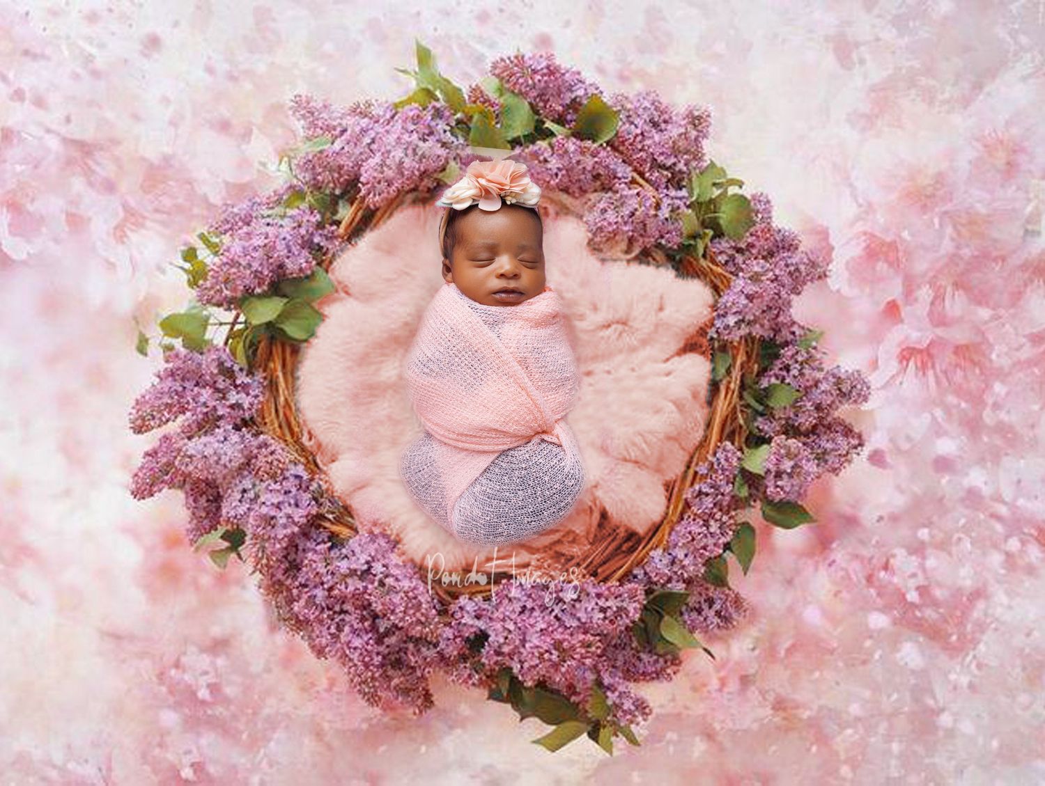 One-Week-Old Baby Photoshoot | Newborn Photography in Ottawa