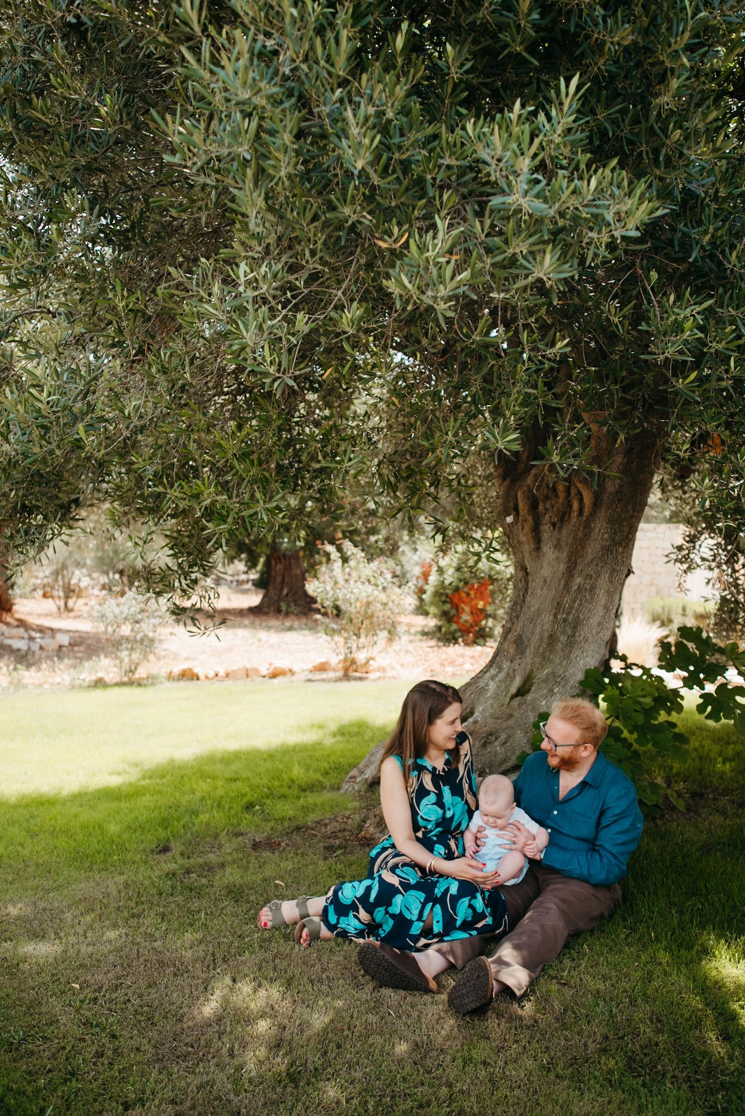 Family relaxing under olive tree in Mediterranean countryside.