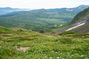 Alpine meadow filled with wildflowers stretches across rolling hills under cloudy skies.