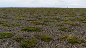 Rocky alpine terrain stretches across a barren mountain plateau under overcast skies.