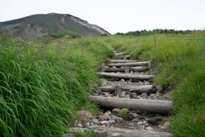 Wooden steps and walkway built into a grassy hillside path.