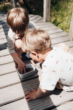 Children playing together with a dark container on wooden deck boards in bright sunlight.