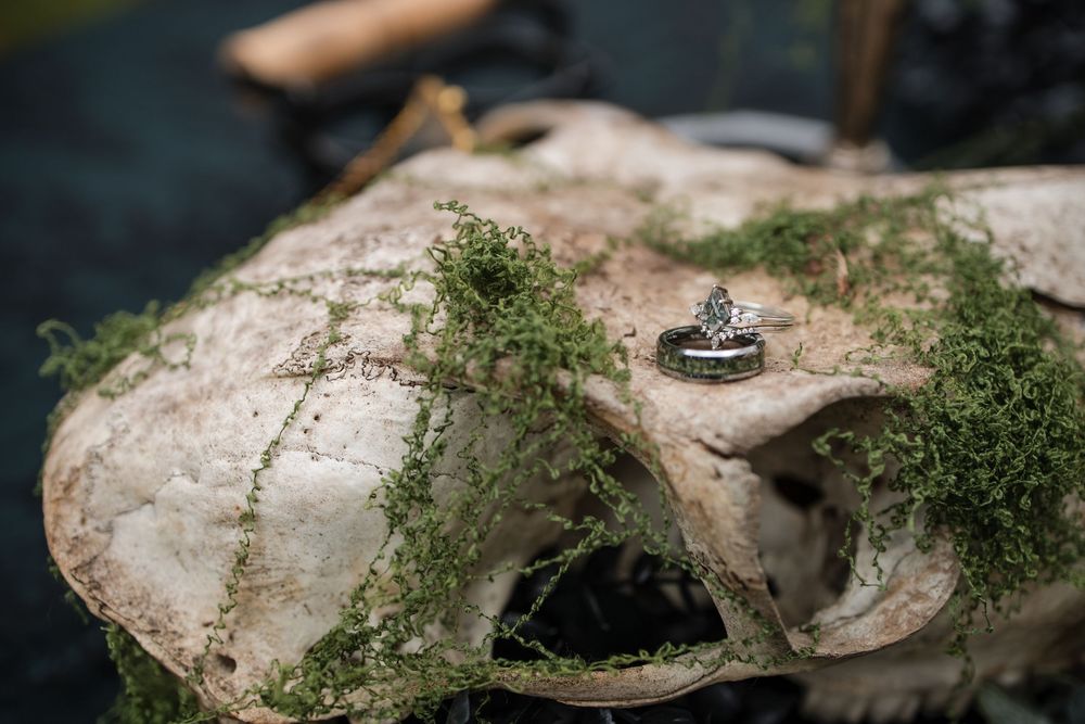 An antique animal skull with moss growing on it displays a silver wedding ring placed on top in natural lighting.