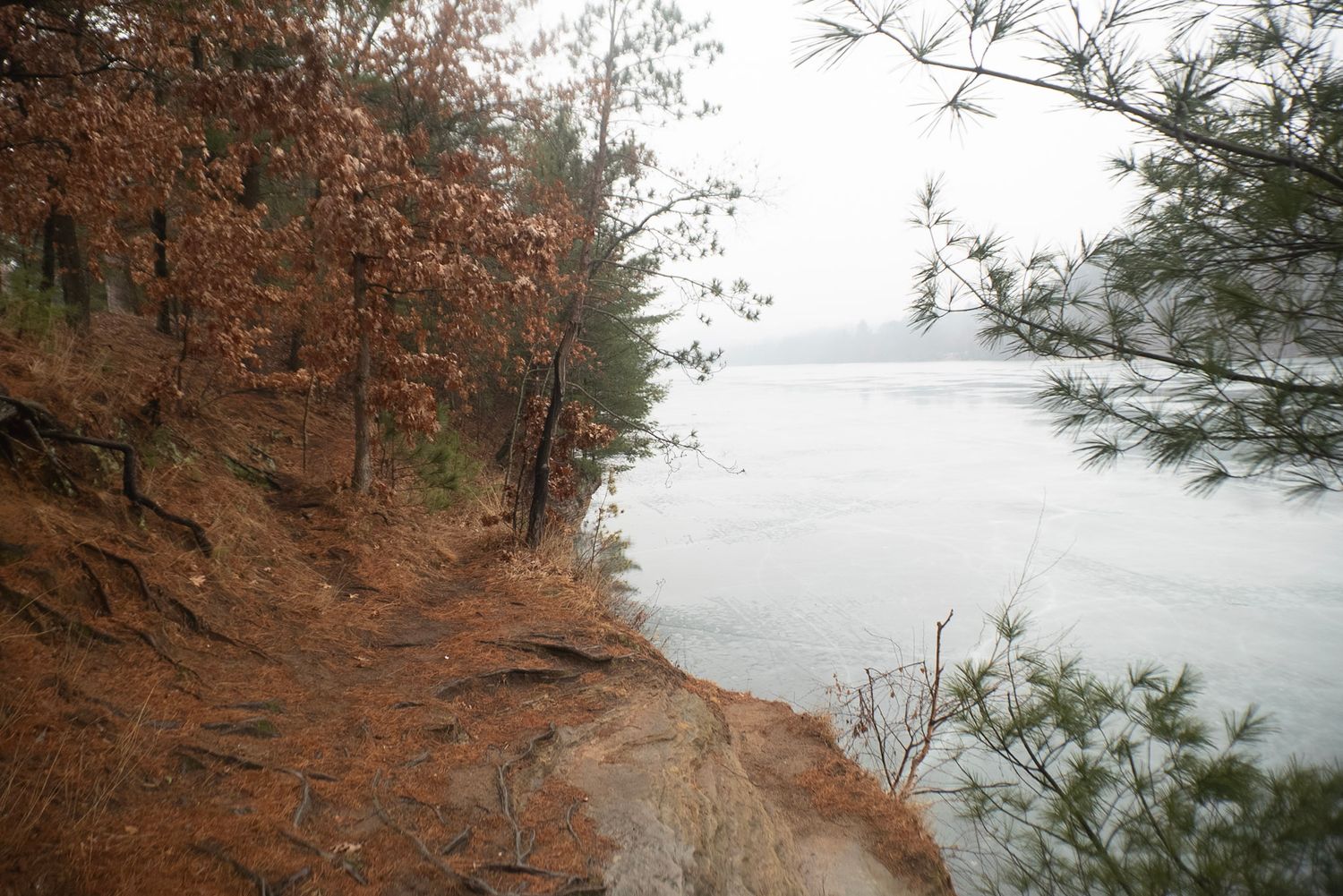 A panoramic sequence of autumn forest trail views overlooking a misty lake through reddish-brown foliage.