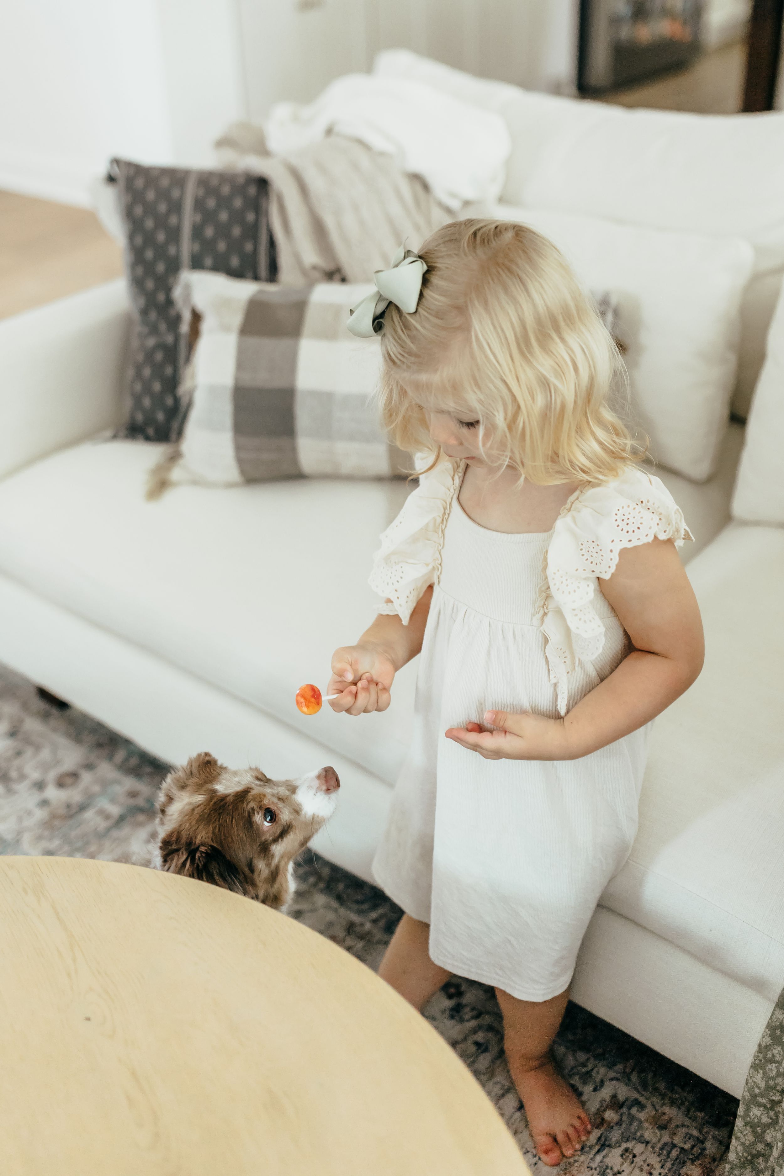 Blonde toddler girl in white dress feeding a small dog in a bright living room with neutral decor.