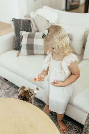 Blonde toddler girl in white dress feeding a small dog in a bright living room with neutral decor.