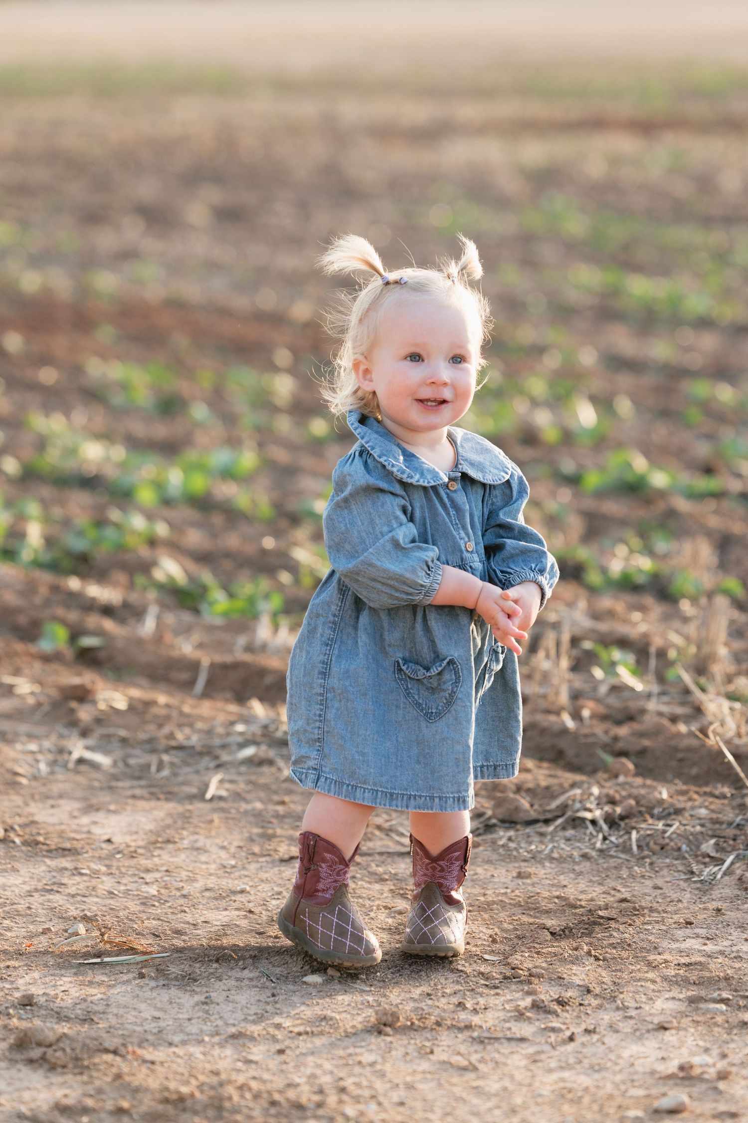 Adorable toddler girl in denim dress and cowboy boots smiling in a farm field on a sunny day.